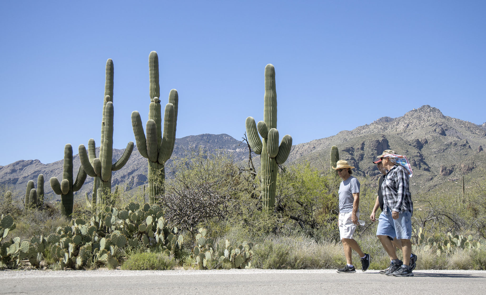 Sabino Canyon Recreation Area, Tucson